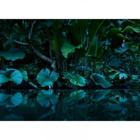 Papier peint panoramique jungle tendance Tapisserie panoramique verte et noire tropicale Papier peint panoramique à motifs palmiers