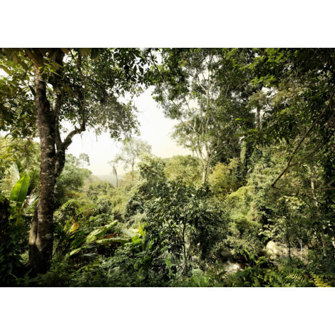 Papier peint panoramique méditerranéen Jungle