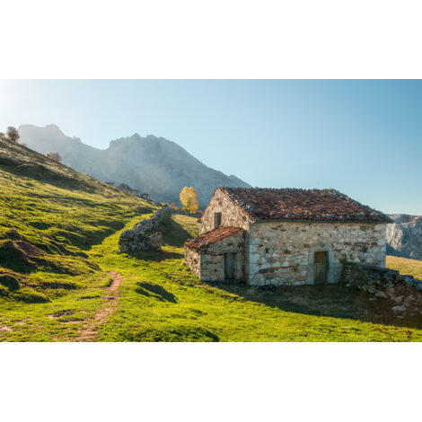 Papier peint panoramique naturel Alpage des Picos de Europe