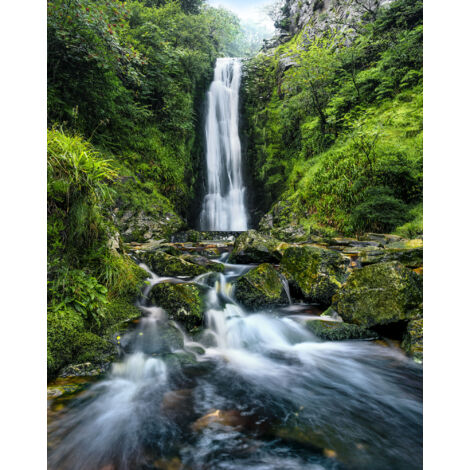 Papier peint panoramique naturel Chutes de Glenevin