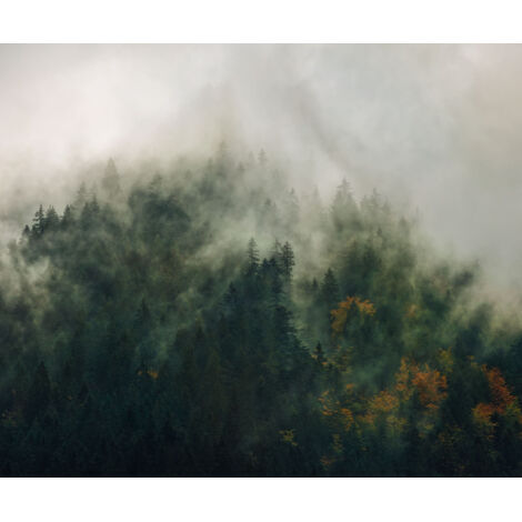 Papier peint panoramique naturel Contes des Carpates