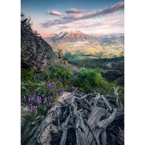 Papier peint panoramique naturel Contes Fleuris