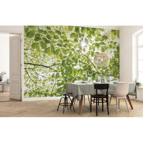 Papier peint panoramique naturel Dans la Forêt de Printemps