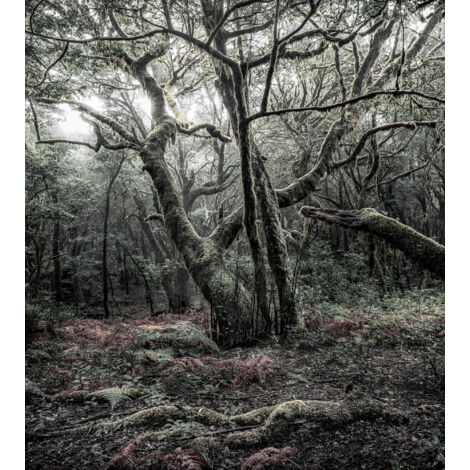 Papier peint panoramique naturel Das Model