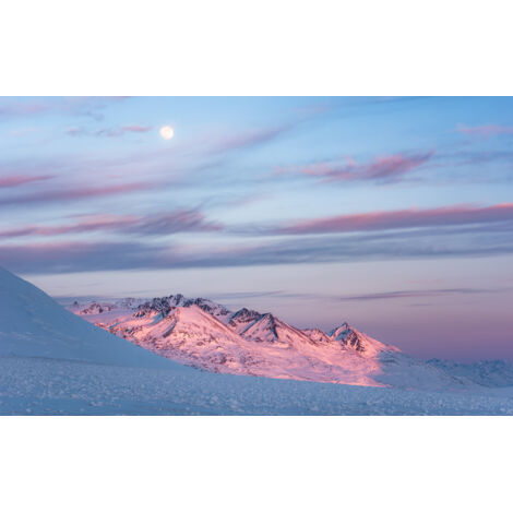 Papier peint panoramique naturel Dîner Violet