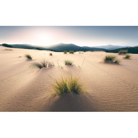 Papier peint panoramique naturel Dunes Vives
