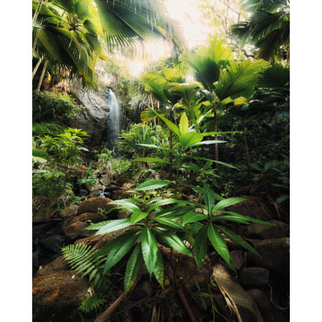 Papier peint panoramique naturel Esprit