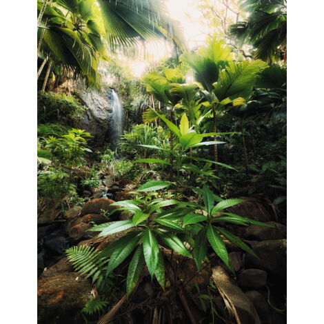 Papier peint panoramique naturel Esprit