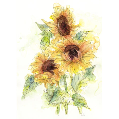 Papier peint panoramique naturel Girasol