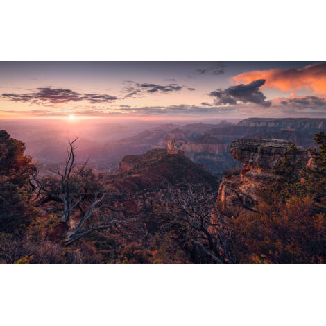Papier peint panoramique naturel Grande Vue
