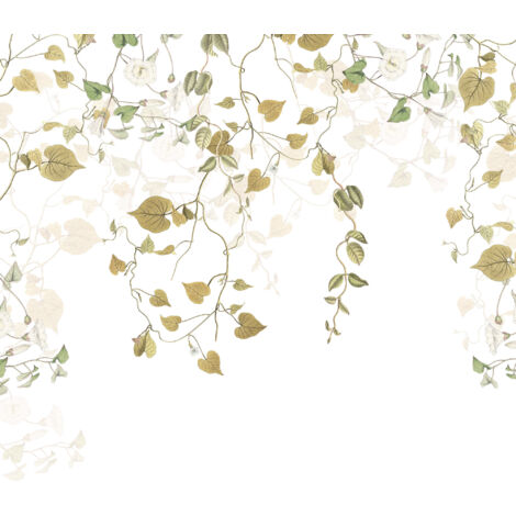 Papier peint panoramique naturel Hedera