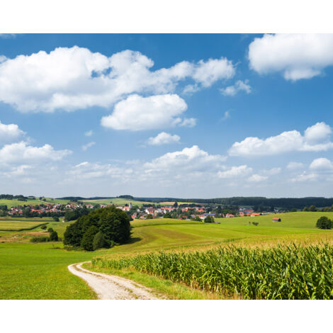 Papier peint panoramique naturel Idylle Bavaroise