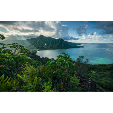 Papier peint panoramique naturel Île Jurassique
