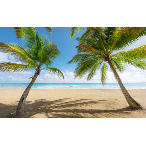Papier peint panoramique naturel Jours des Caraïbes II