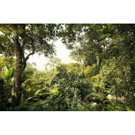 Papier peint panoramique naturel Jungle