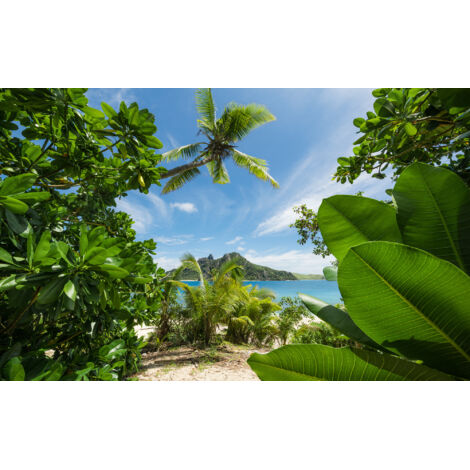 Papier peint panoramique naturel Jungle Échouée