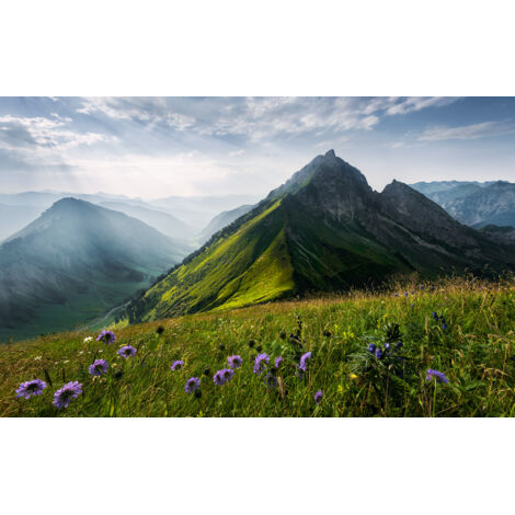 Papier peint panoramique naturel La Reine Verte
