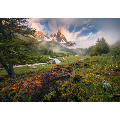 Papier peint panoramique naturel Le Dernier Paradis