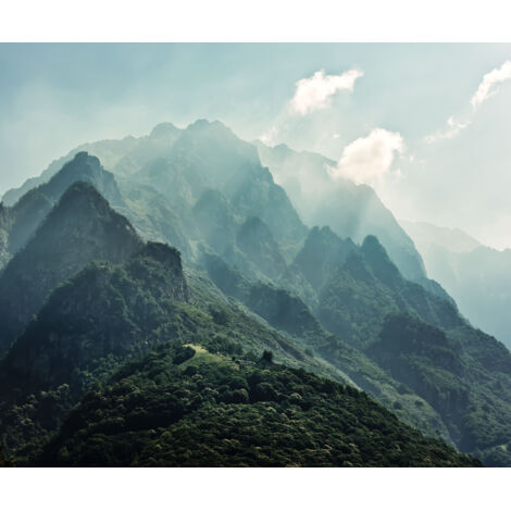 Papier peint panoramique naturel Le Sommet