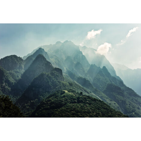 Papier peint panoramique naturel Le Sommet