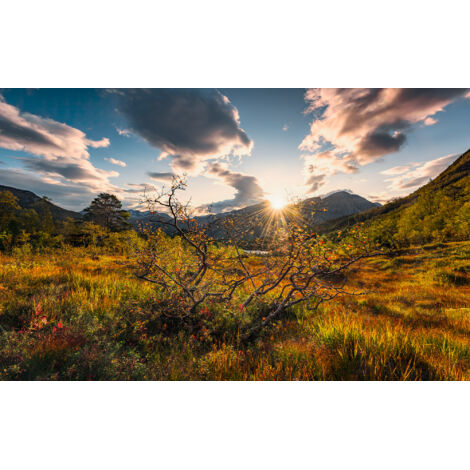 Papier peint panoramique naturel Mondes d’Automne Norvégiens