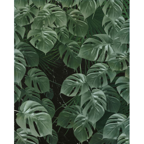 Papier peint panoramique naturel Monstera sur Marbre
