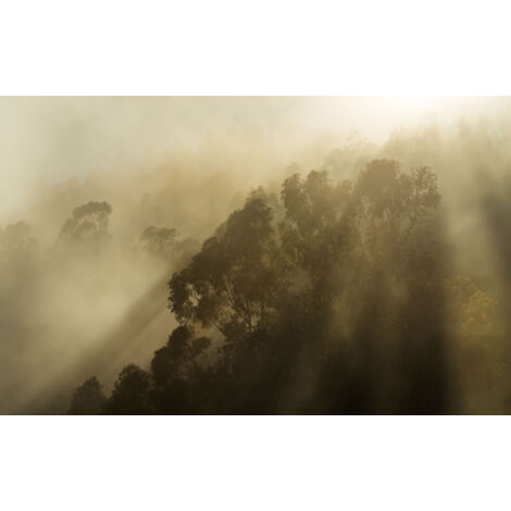 Papier peint panoramique naturel Montagne Brumeuse