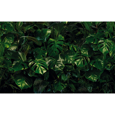 Papier peint panoramique naturel Mur Tropical