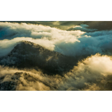 Papier peint panoramique naturel Pangée