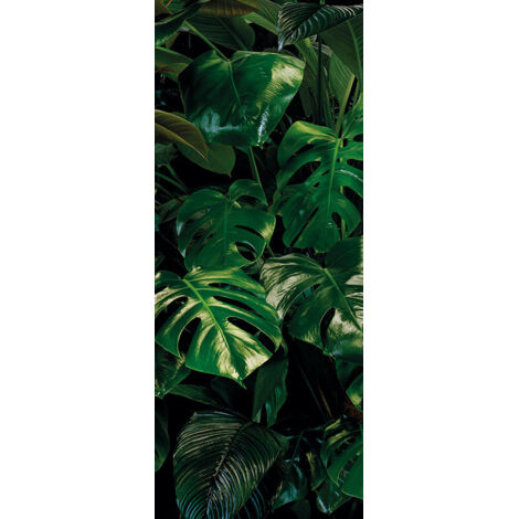 Papier peint panoramique naturel Panneau Mur Tropical