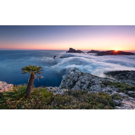 Papier peint panoramique naturel Paradis Insulaire