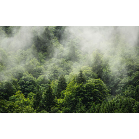 Papier peint panoramique naturel Terre Forestière