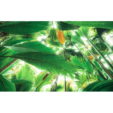 Papier peint panoramique naturel Toit de la Jungle II