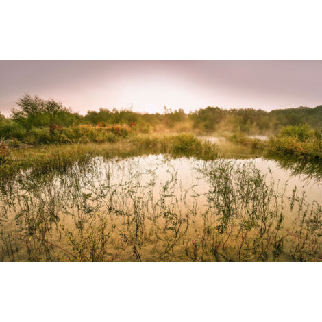 Papier peint panoramique naturel,romantique Vue du Matin II