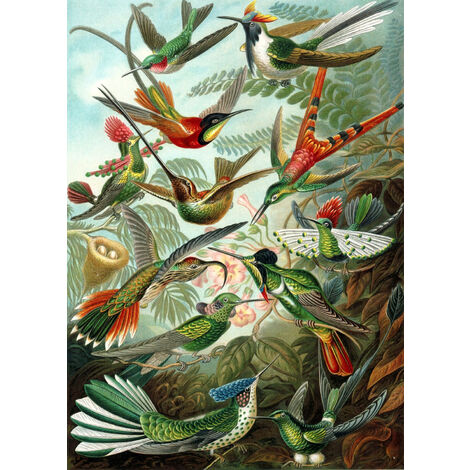 Papier peint panoramique oiseaux - 2 x 2,79 m de ESTAhome - vert jungle tropicale