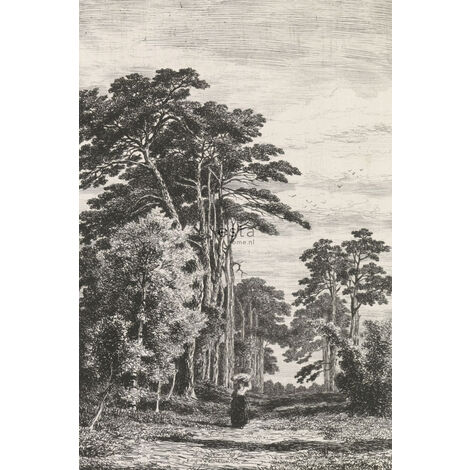 Papier peint panoramique paysage boisé - 1,86 x 2,79 m de ESTAhome - noir et blanc