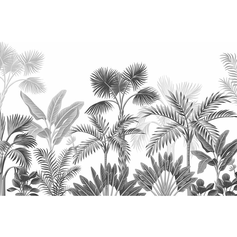 papier peint panoramique paysage tropical avec des palmiers noir et blanc - Sanders & Sanders