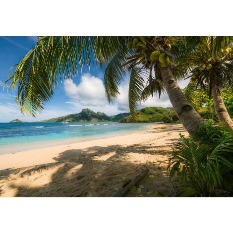 papier peint panoramique plage vert et bleu - Komar