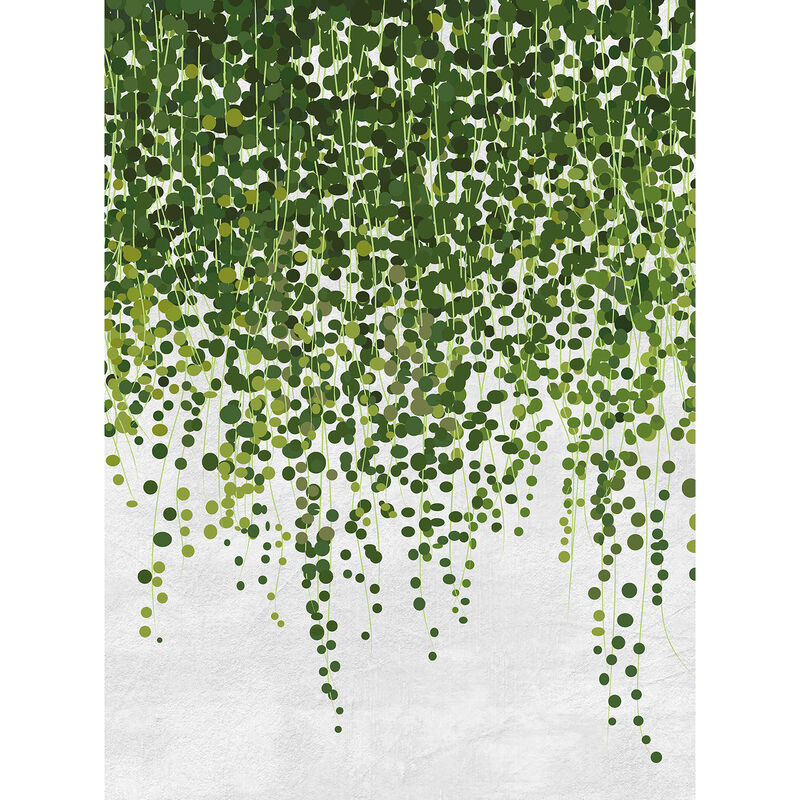papier peint panoramique plante original | tapisserie panoramique végétale verte & blanche idéal salon | papier peint panoramique moderne - 192 x 260
