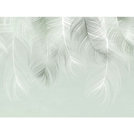 Papier peint panoramique plumes - 3,75 x 2,7 m de Sanders & Sanders