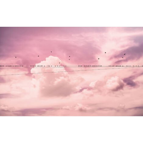 Papier peint panoramique romantique Cloud Wire