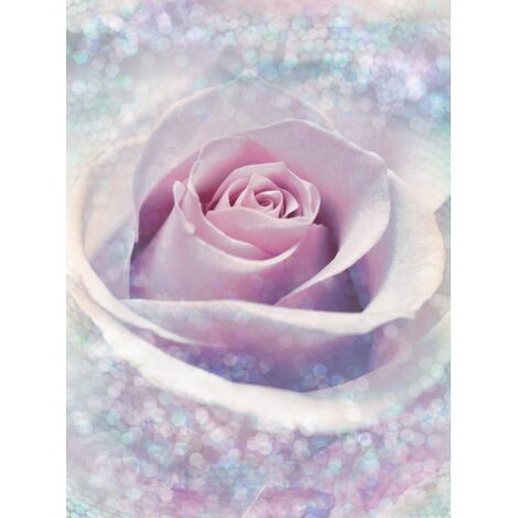 Papier peint panoramique romantique Rose Délicate