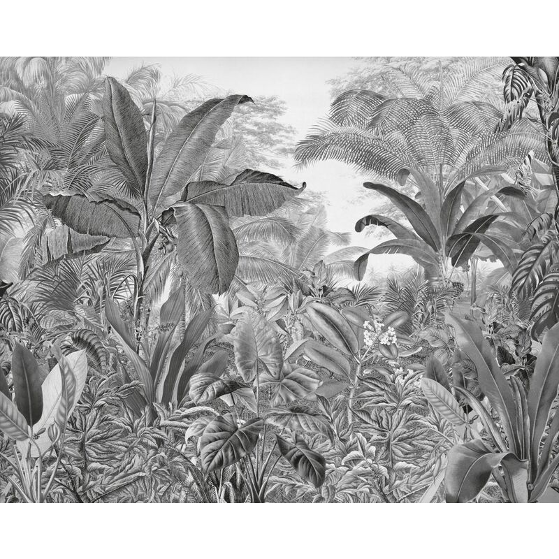 Komar - papier peint panoramique jungle noir et blanc
