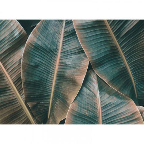 Papier peint panoramique tropical pour chambre Tapisserie panoramique motif feuille de bananier Papier peint panoramique idéal pour bureau