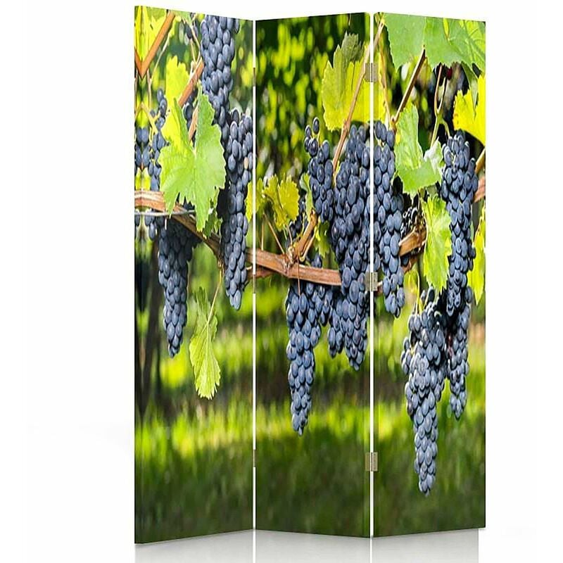 feeby - paravent raisins noirs décoration vigne 3 panneaux - 110 x 180 cm - 1 face déco, 1 face noir - vert