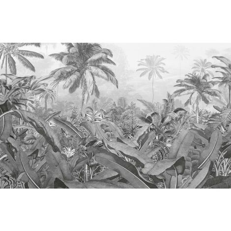 Papier peint photo Amazonia Noir et blanc 400x250 cm Komar - Multicolore
