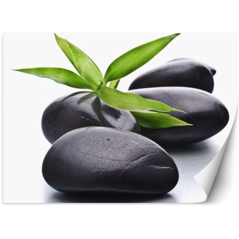 Papier peint Pierres zen spa 250x175
