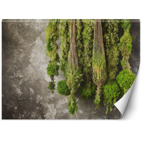Papier peint Plante de mousse Nature 450x315