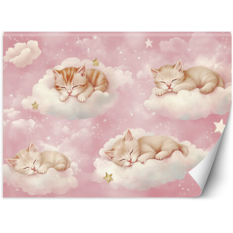 Papier peint pour murs d'enfants Chats dans les nuages Rose 450x315