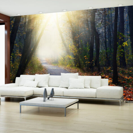 Papier Peint "Road Through the Forest" 280 x 400 cm